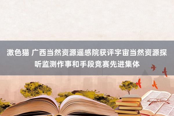 激色猫 广西当然资源遥感院获评宇宙当然资源探听监测作事和手段竞赛先进集体