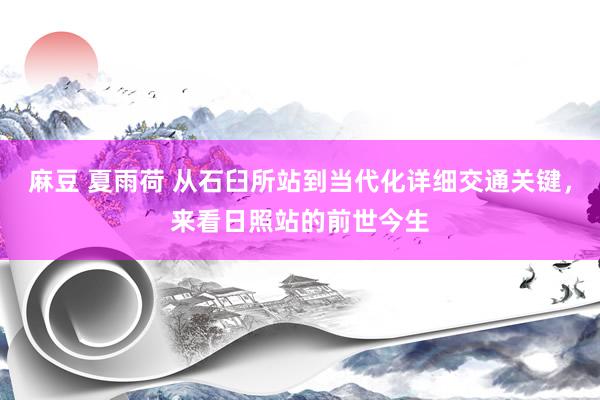 麻豆 夏雨荷 从石臼所站到当代化详细交通关键，来看日照站的前世今生