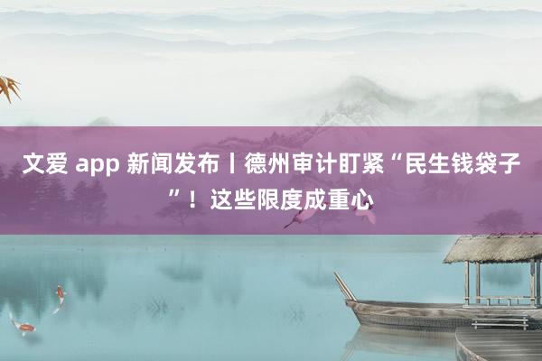 文爱 app 新闻发布丨德州审计盯紧“民生钱袋子”！这些限度成重心