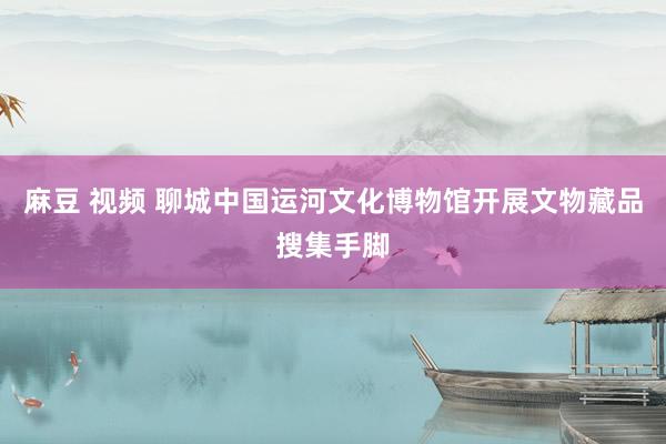 麻豆 视频 聊城中国运河文化博物馆开展文物藏品搜集手脚