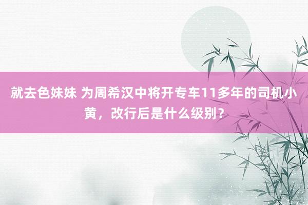 就去色妹妹 为周希汉中将开专车11多年的司机小黄，改行后是什么级别？