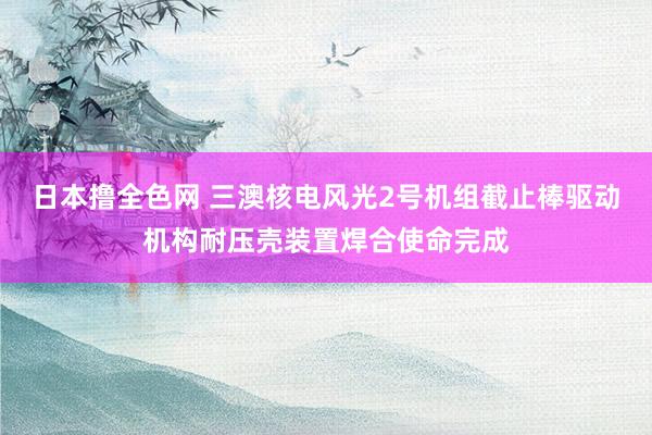 日本撸全色网 三澳核电风光2号机组截止棒驱动机构耐压壳装置焊合使命完成