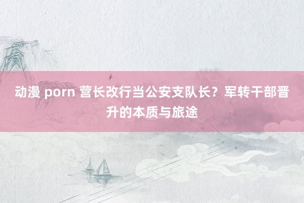 动漫 porn 营长改行当公安支队长？军转干部晋升的本质与旅途