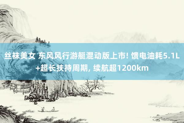 丝袜美女 东风风行游艇混动版上市! 馈电油耗5.1L+超长扶持周期, 续航超1200km