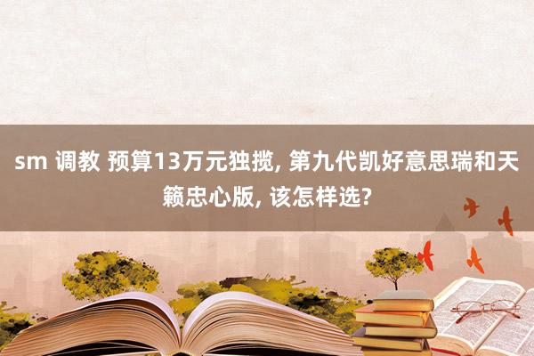 sm 调教 预算13万元独揽, 第九代凯好意思瑞和天籁忠心版, 该怎样选?