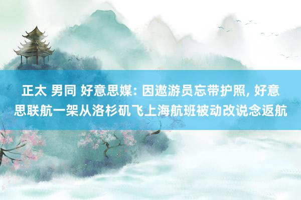 正太 男同 好意思媒: 因遨游员忘带护照, 好意思联航一架从洛杉矶飞上海航班被动改说念返航