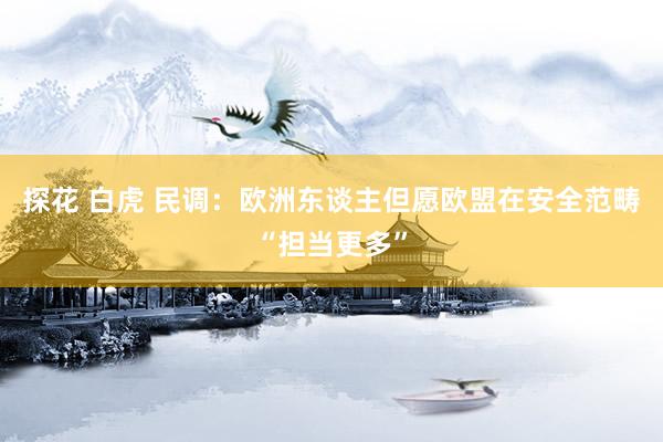 探花 白虎 民调：欧洲东谈主但愿欧盟在安全范畴“担当更多”