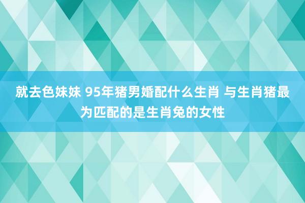 就去色妹妹 95年猪男婚配什么生肖 与生肖猪最为匹配的是生肖兔的女性