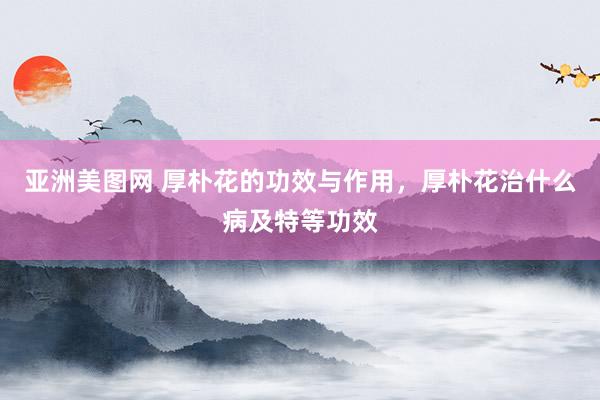 亚洲美图网 厚朴花的功效与作用，厚朴花治什么病及特等功效