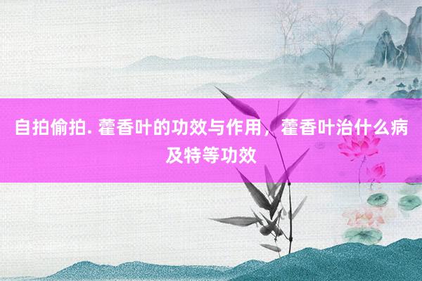 自拍偷拍. 藿香叶的功效与作用，藿香叶治什么病及特等功效