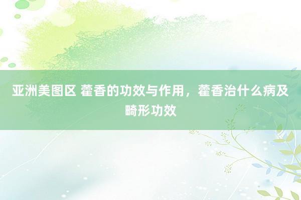 亚洲美图区 藿香的功效与作用，藿香治什么病及畸形功效