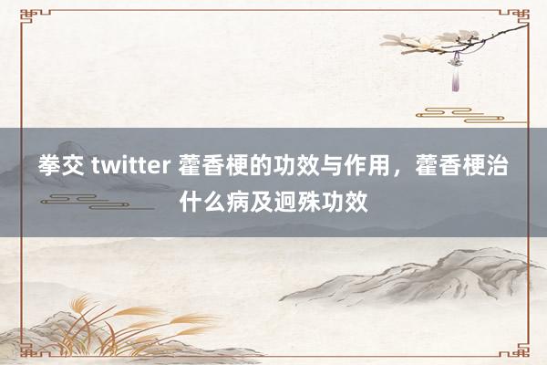 拳交 twitter 藿香梗的功效与作用，藿香梗治什么病及迥殊功效