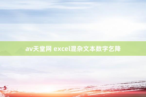 av天堂网 excel混杂文本数字乞降