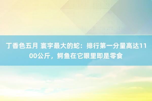 丁香色五月 寰宇最大的蛇：排行第一分量高达1100公斤，鳄鱼在它眼里即是零食