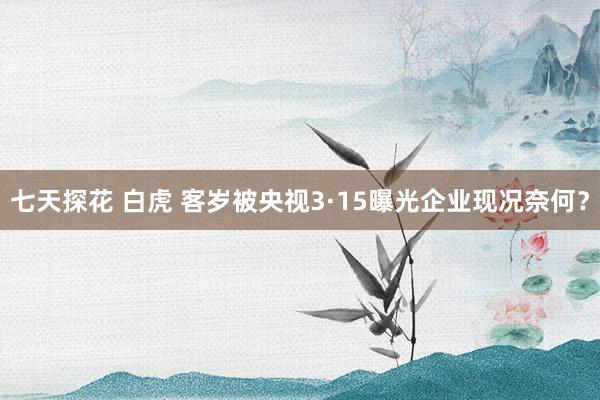 七天探花 白虎 客岁被央视3·15曝光企业现况奈何？