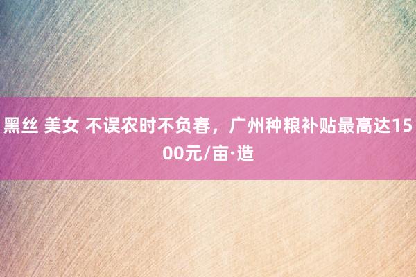 黑丝 美女 不误农时不负春，广州种粮补贴最高达1500元/亩·造